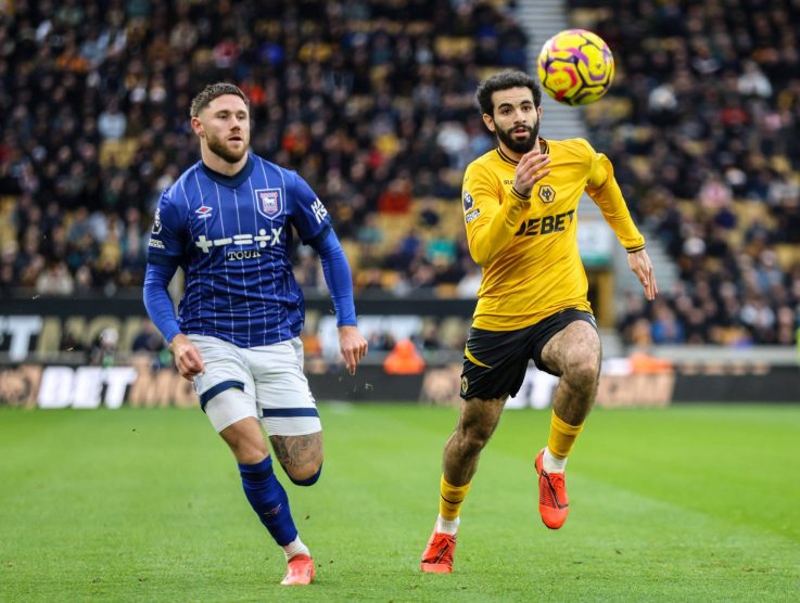Wolves Searching for a New Manager