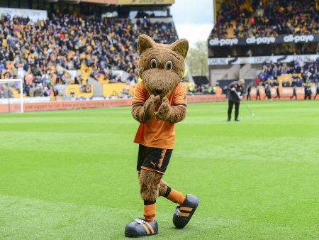 Wolves vs Manchester City Odds – Back Wolves +1.5 (-150) at Coolbet